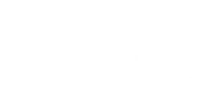 ARM Solutions logo