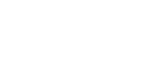 Focus Virtual Assistants logo